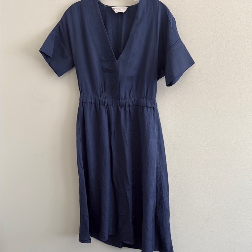 Everlane Navy Midi Dress